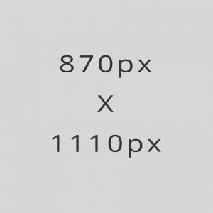 Women's Ripped Denim